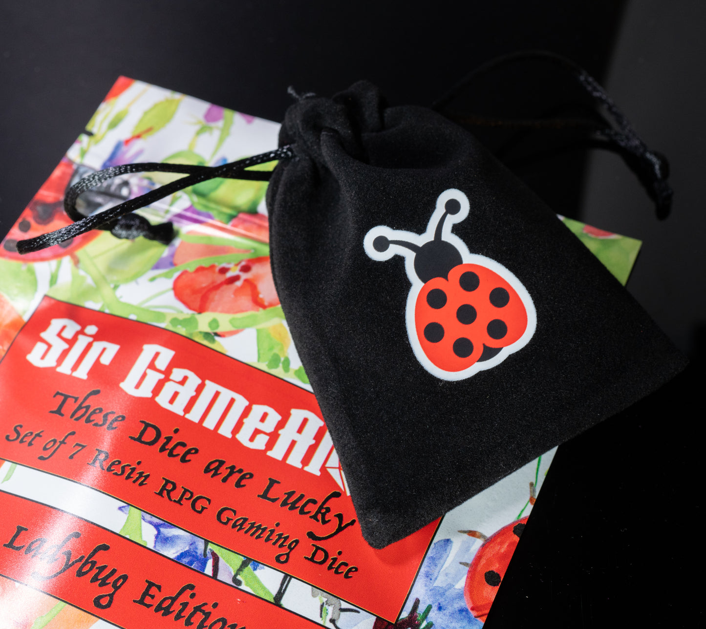 Lucky Ladybug Resin DnD Dice Set | Polyhedral RPG TTRPG Pathfinder | Funny DND Gift Ideas