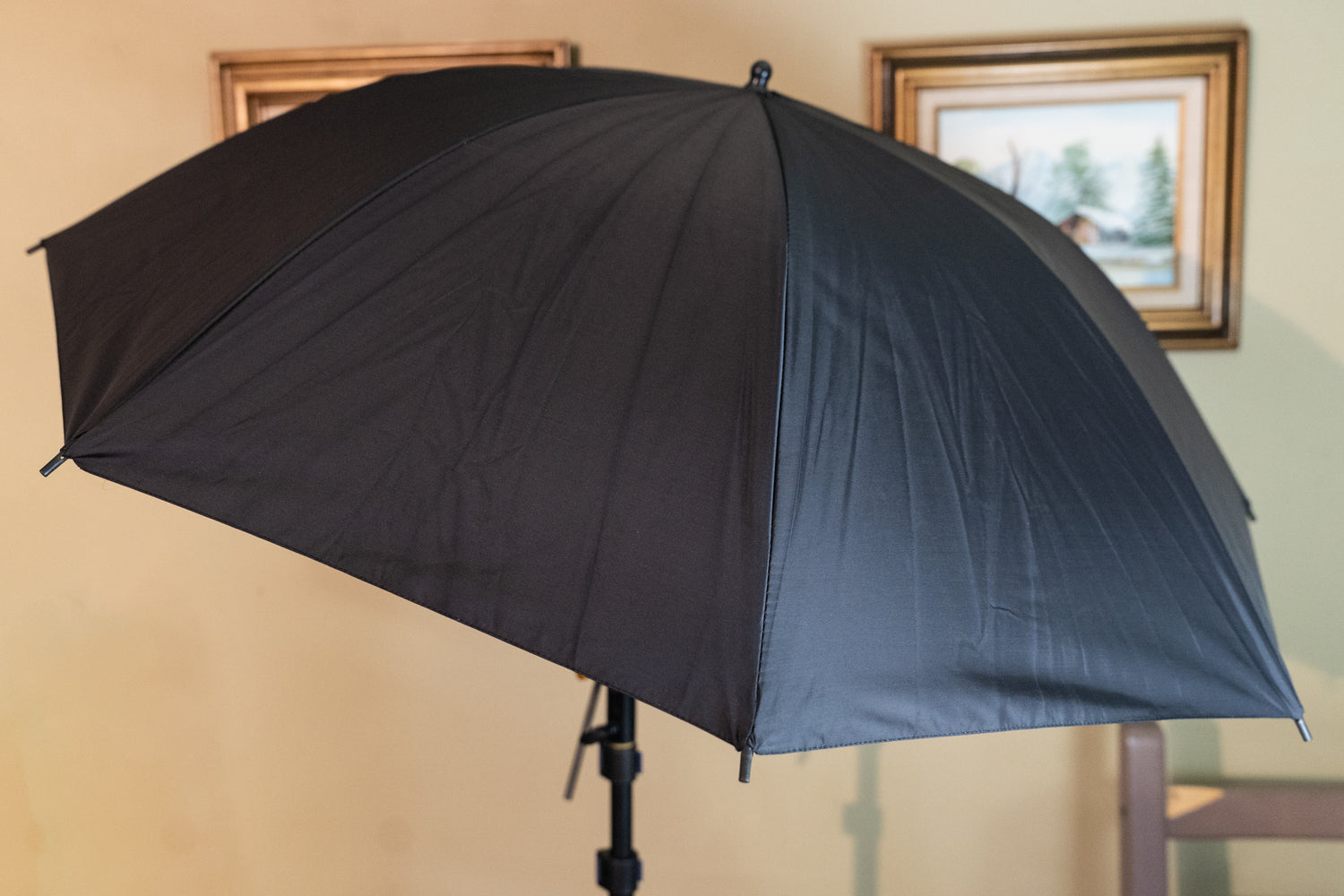 Black umbrella on a stand indoors in a living room